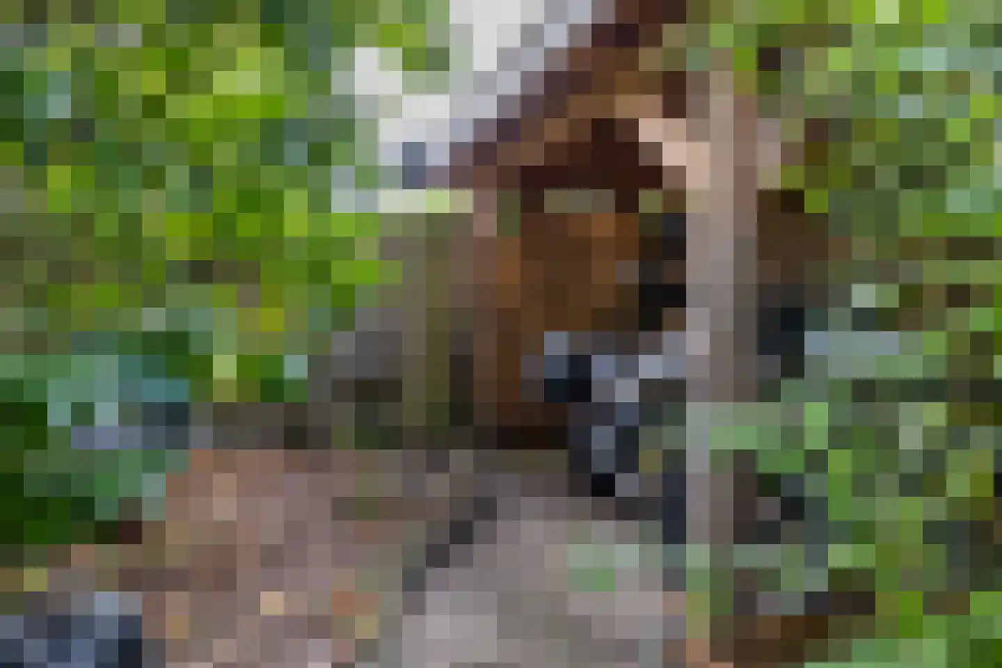 Lottinge 25 Vries thumbnail 52