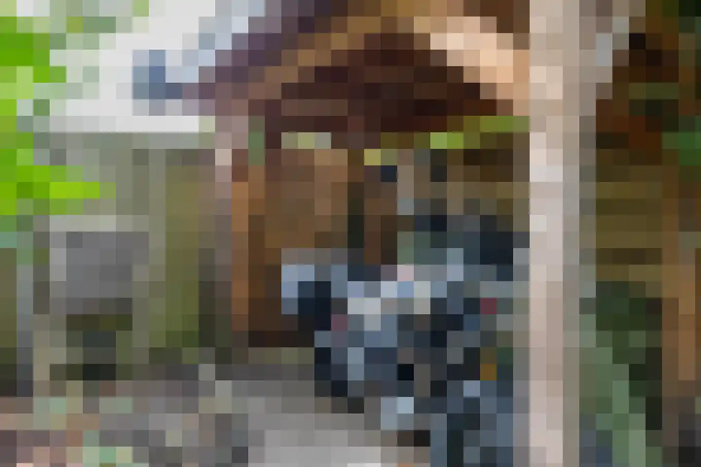 Lottinge 25 Vries thumbnail 53