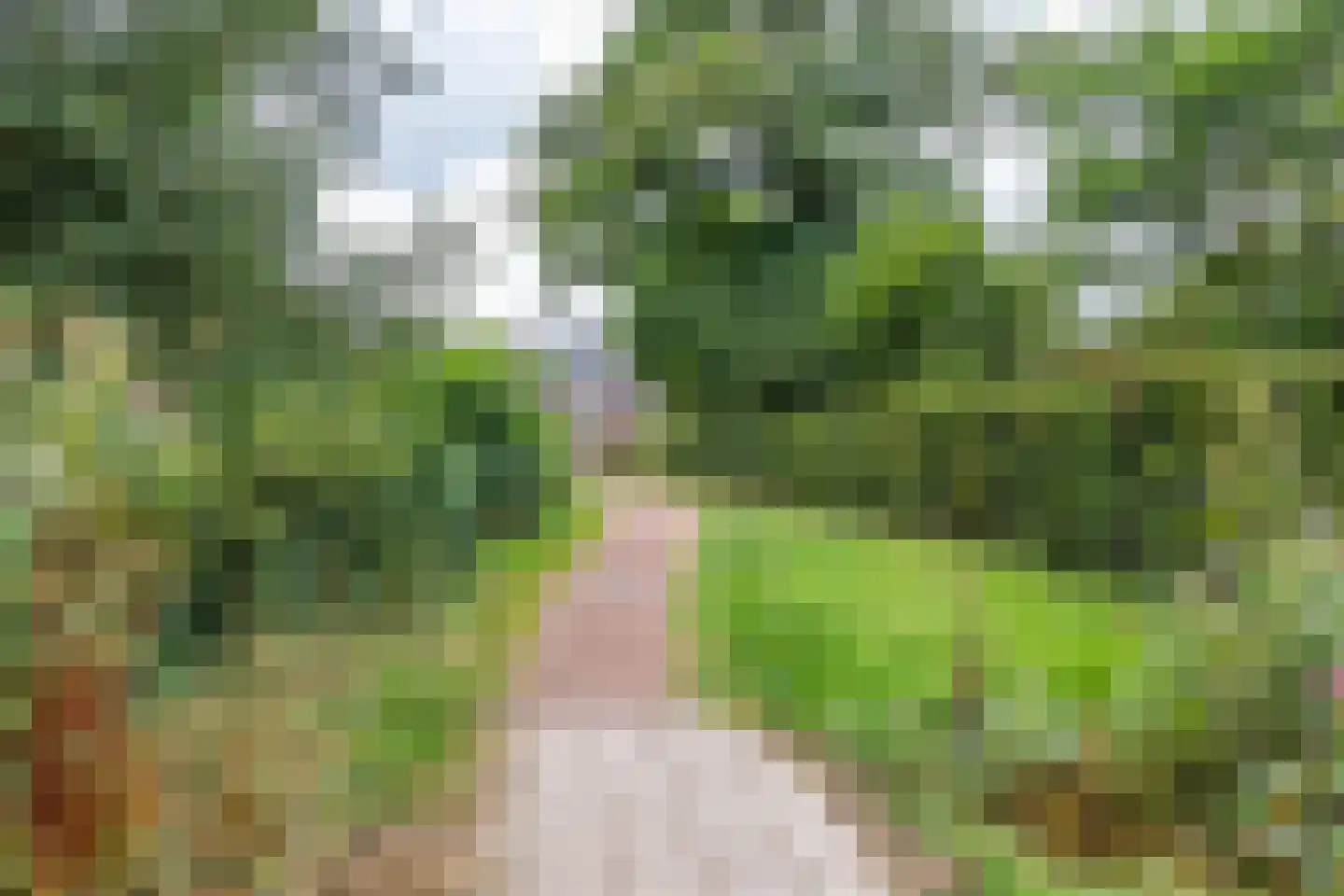 Lottinge 25 Vries thumbnail 56