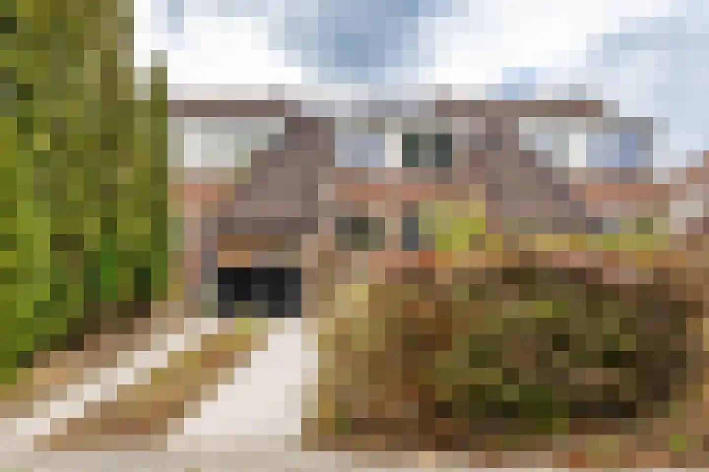 Lottinge 25 Vries thumbnail 6