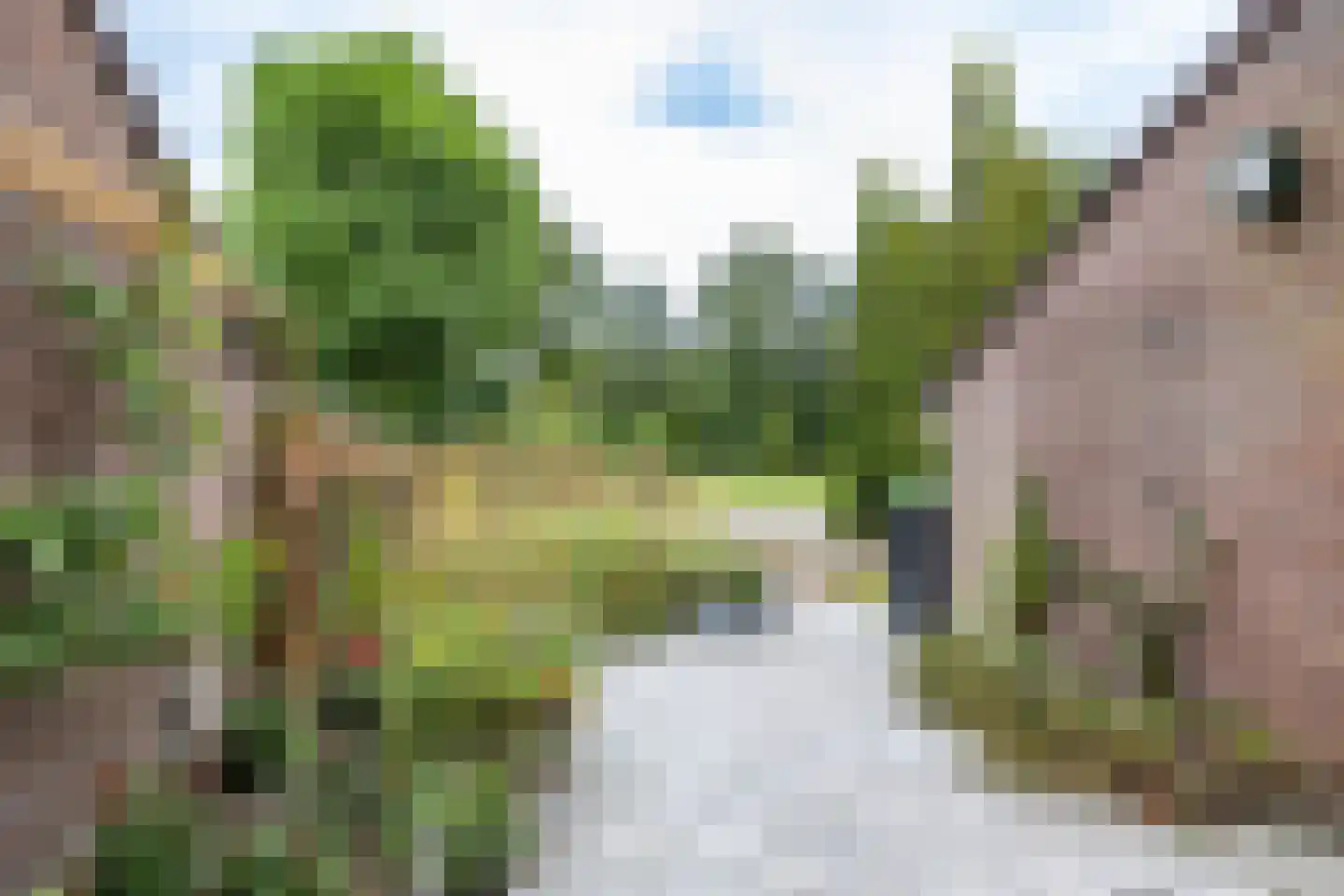 Lottinge 25 Vries thumbnail 9