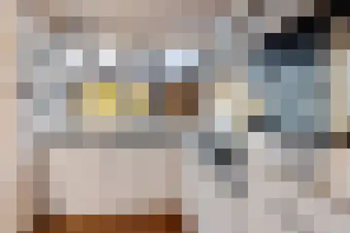Lottinglaan 27 Zuidlaren thumbnail 13