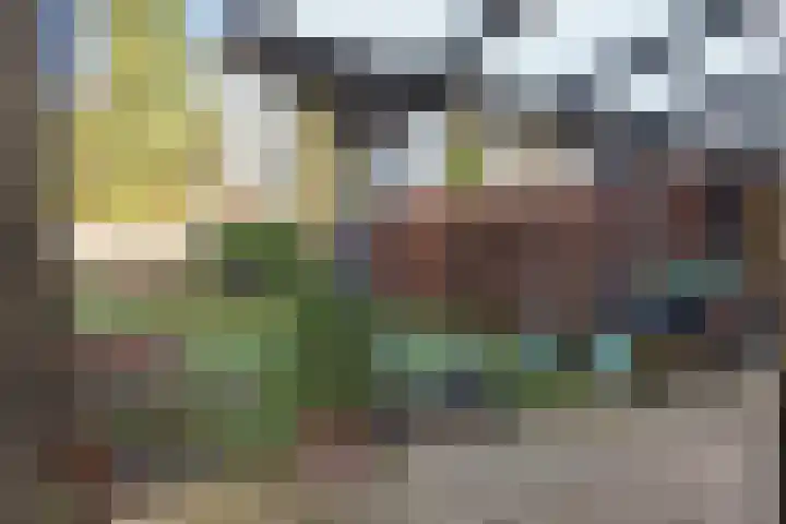 Lottinglaan 27 Zuidlaren thumbnail 20