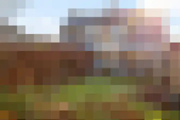 Lottinglaan 27 Zuidlaren thumbnail 21