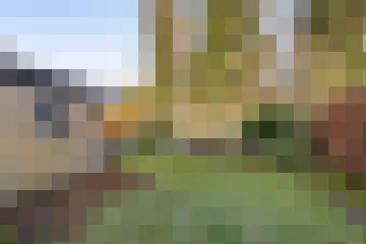 Lottinglaan 27 Zuidlaren thumbnail 23