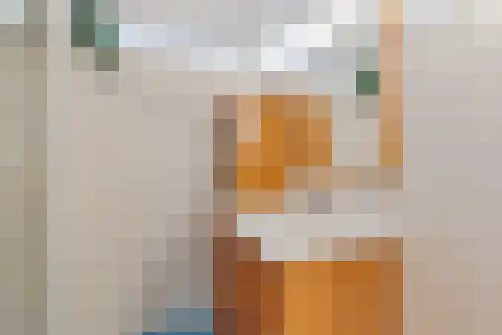 Lottinglaan 27 Zuidlaren thumbnail 33