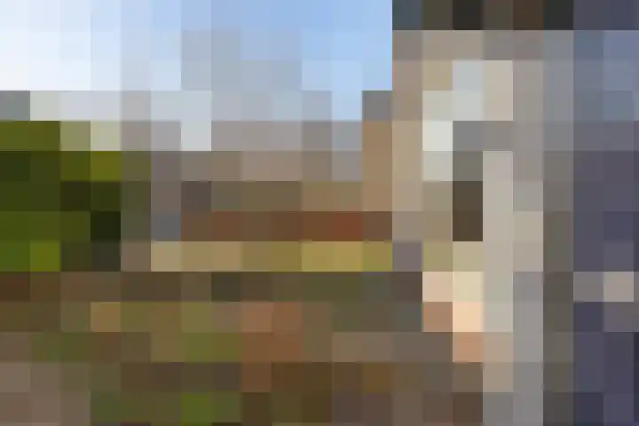 Lottinglaan 27 Zuidlaren thumbnail 39