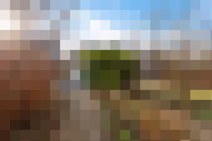 Lottinglaan 27 Zuidlaren thumbnail 40
