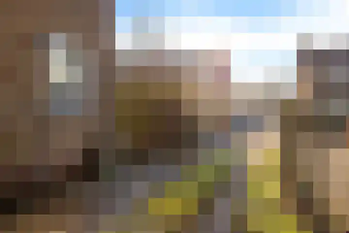Lottinglaan 27 Zuidlaren thumbnail 41