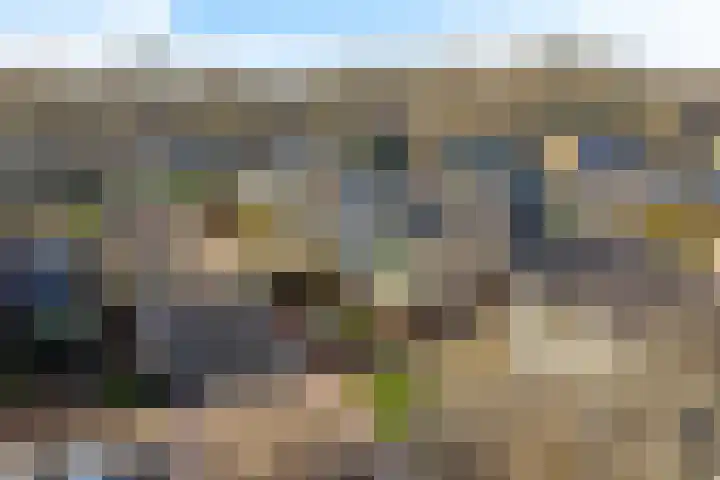 Lottinglaan 27 Zuidlaren thumbnail 43