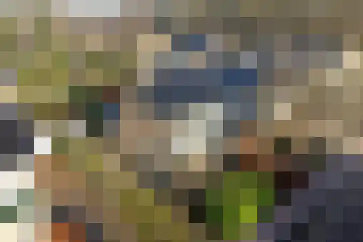 Lottinglaan 27 Zuidlaren thumbnail 44