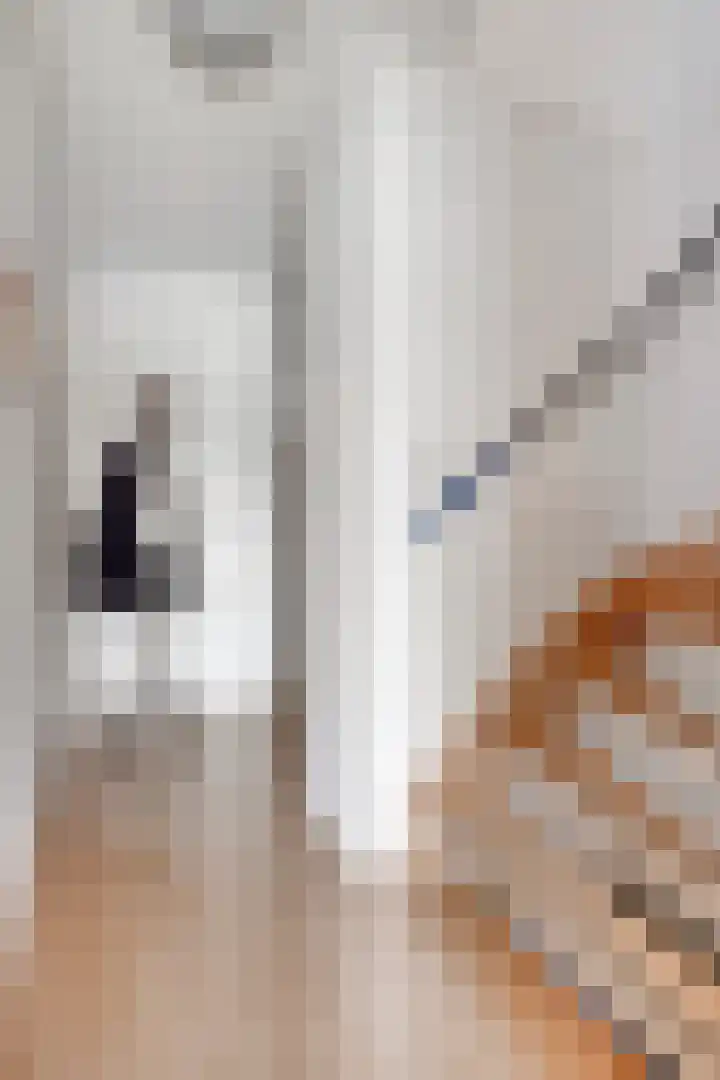 Lottistraat 1 A Eindhoven thumbnail 15