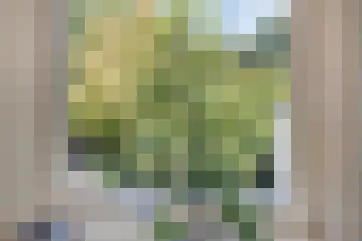 Lottistraat 1 A Eindhoven thumbnail 22