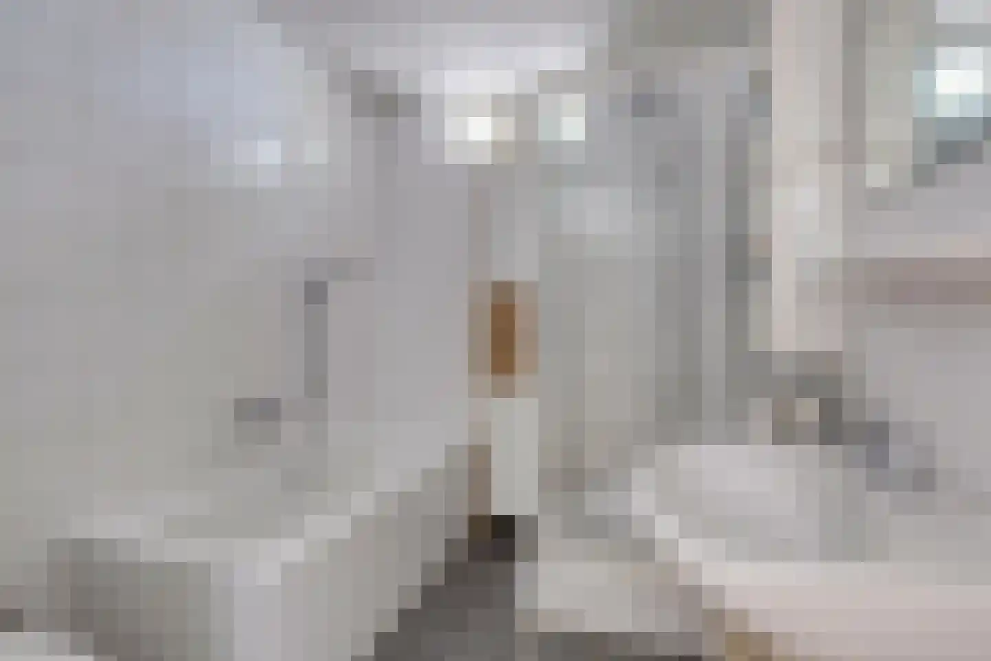 Lottistraat 17 Eindhoven thumbnail 6