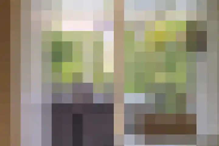 Lottistraat 6 Eindhoven thumbnail 16