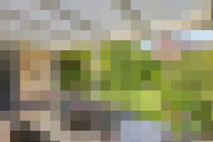 Lottistraat 6 Eindhoven thumbnail 28