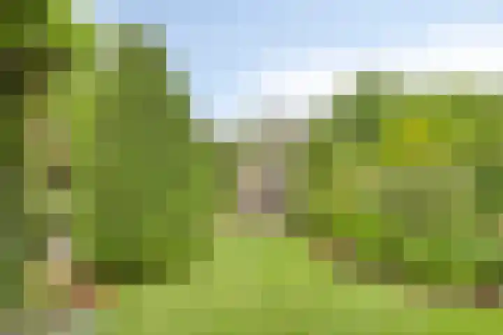 Lottistraat 6 Eindhoven thumbnail 29