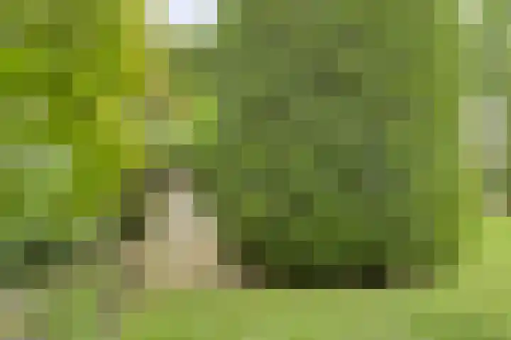 Lottistraat 6 Eindhoven thumbnail 30