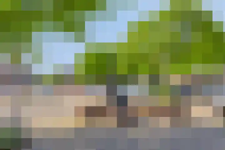 Lottistraat 6 Eindhoven thumbnail 36