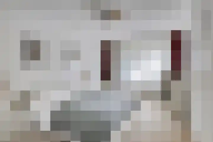 Lottistraat 6 Eindhoven thumbnail 4