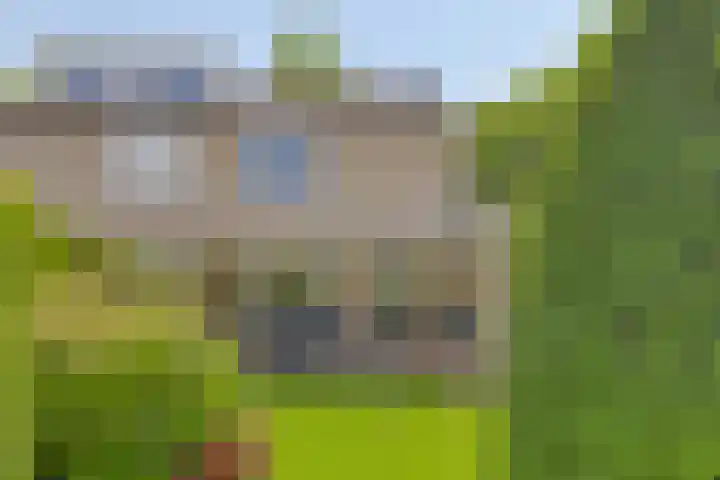 Lottistraat 6 Eindhoven thumbnail 6