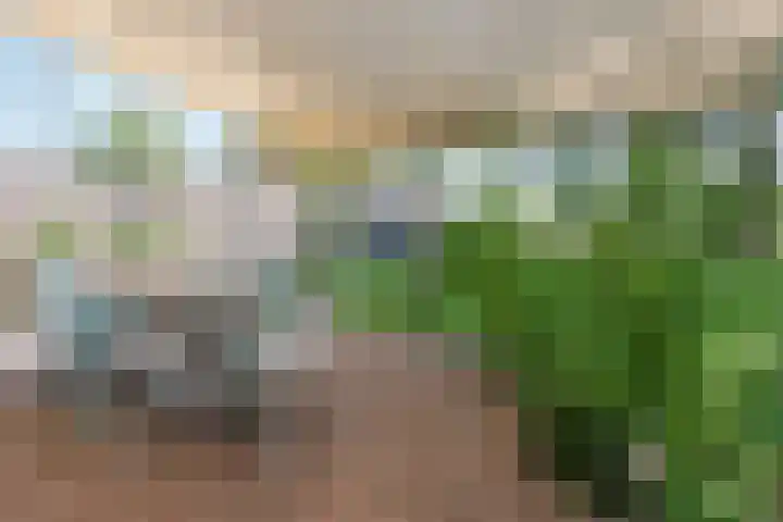 Lottumseweg 10 Melderslo thumbnail 38