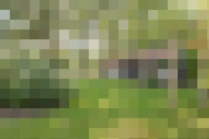 Lottumseweg 10 Melderslo thumbnail 39