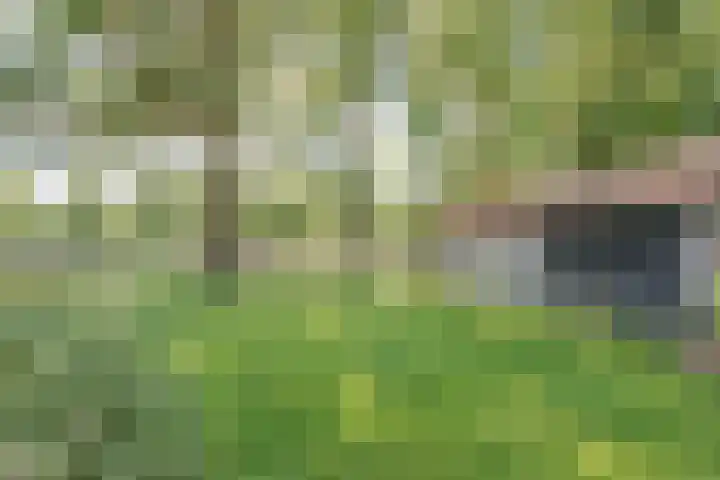 Lottumseweg 10 Melderslo thumbnail 40