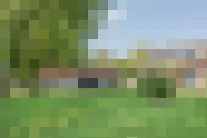Lottumseweg 10 Melderslo thumbnail 41