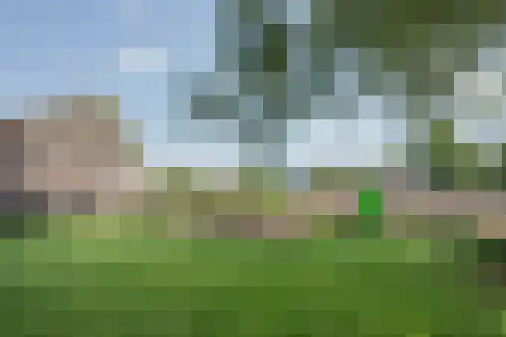 Lottumseweg 10 Melderslo thumbnail 42