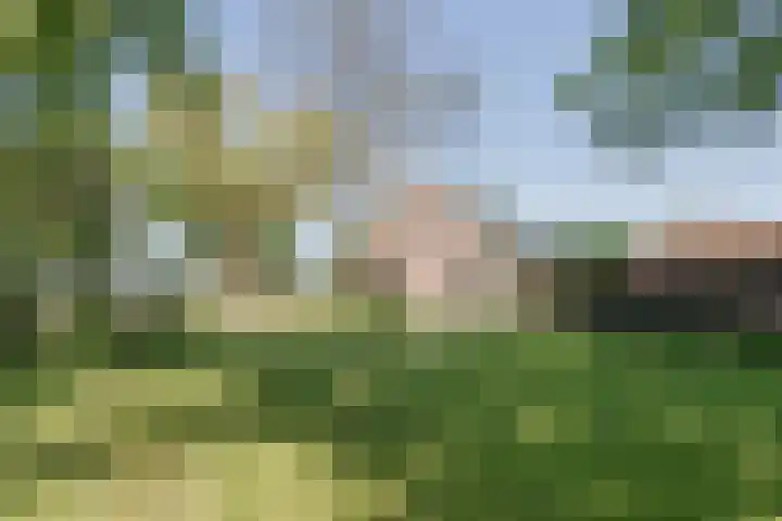 Lottumseweg 10 Melderslo thumbnail 43