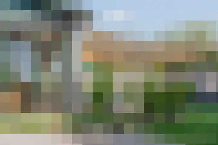 Lottumseweg 10 Melderslo thumbnail 44