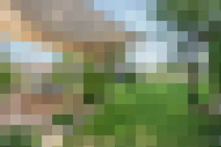 Lottumseweg 10 Melderslo thumbnail 45