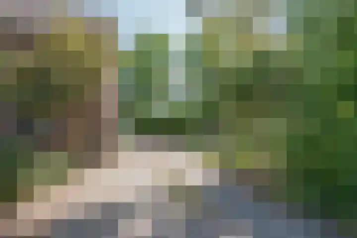 Lottumseweg 10 Melderslo thumbnail 46
