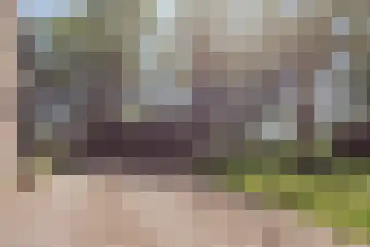 Lottumseweg 10 Melderslo thumbnail 47