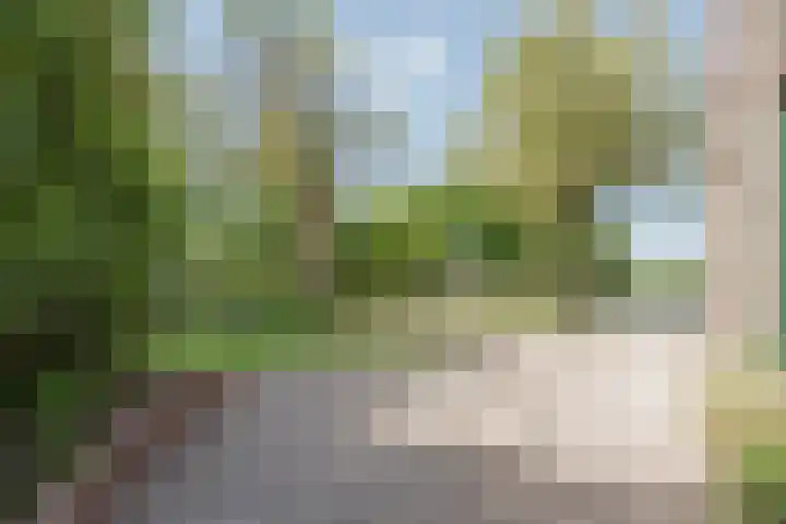 Lottumseweg 10 Melderslo thumbnail 48