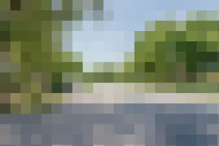 Lottumseweg 10 Melderslo thumbnail 49