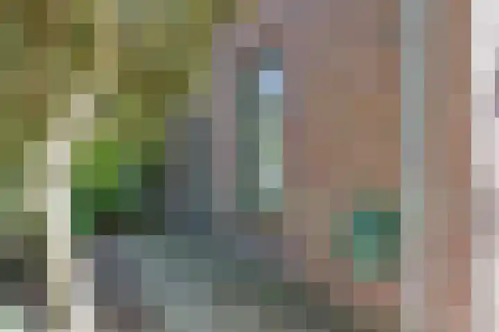 Lottumseweg 10 Melderslo thumbnail 9