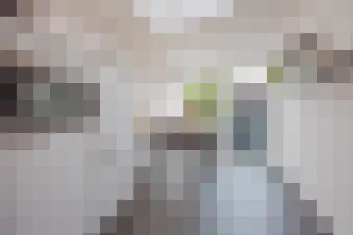 Lottumseweg 5 Broekhuizen thumbnail 11