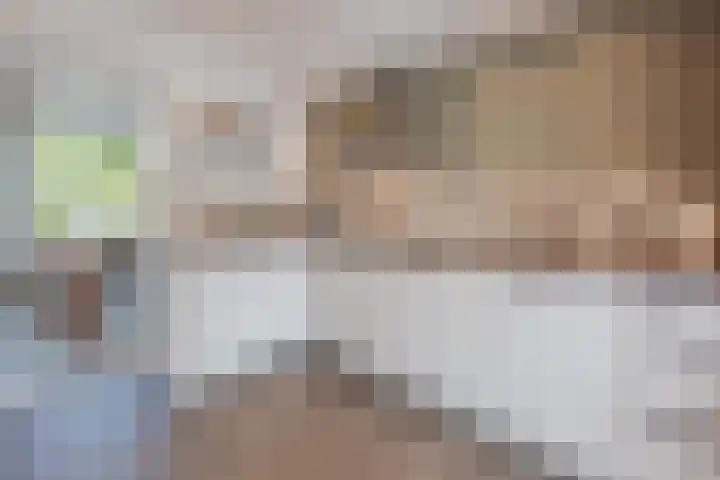 Lottumseweg 5 Broekhuizen thumbnail 13