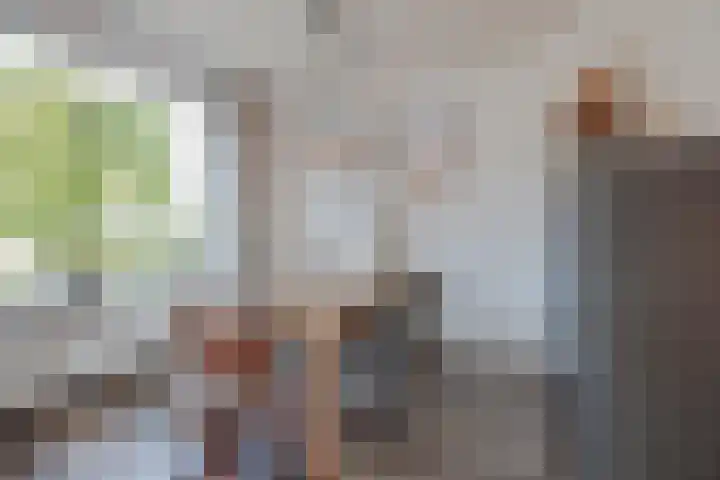 Lottumseweg 5 Broekhuizen thumbnail 14