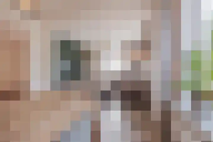Lottumseweg 5 Broekhuizen thumbnail 15
