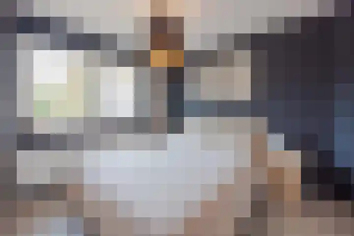 Lottumseweg 5 Broekhuizen thumbnail 25