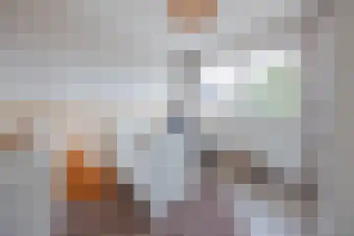 Lottumseweg 5 Broekhuizen thumbnail 27