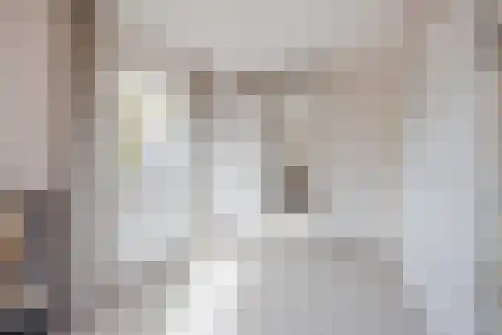 Lottumseweg 5 Broekhuizen thumbnail 30