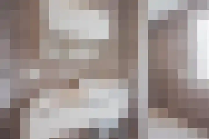 Lottumseweg 5 Broekhuizen thumbnail 32