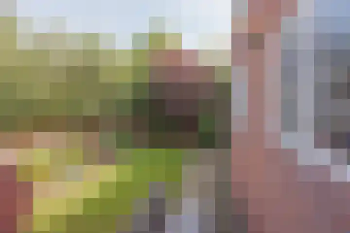Lottumseweg 5 Broekhuizen thumbnail 37