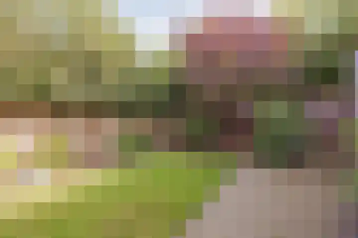 Lottumseweg 5 Broekhuizen thumbnail 38