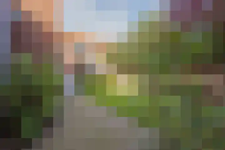 Lottumseweg 5 Broekhuizen thumbnail 39