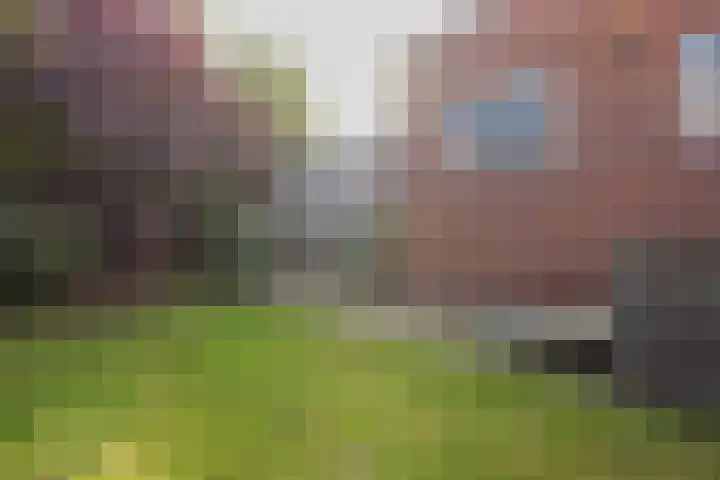 Lottumseweg 5 Broekhuizen thumbnail 40